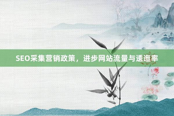 SEO采集营销政策，进步网站流量与逶迤率