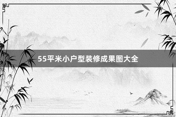 55平米小户型装修成果图大全