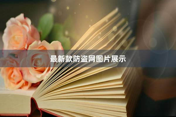 最新款防盗网图片展示