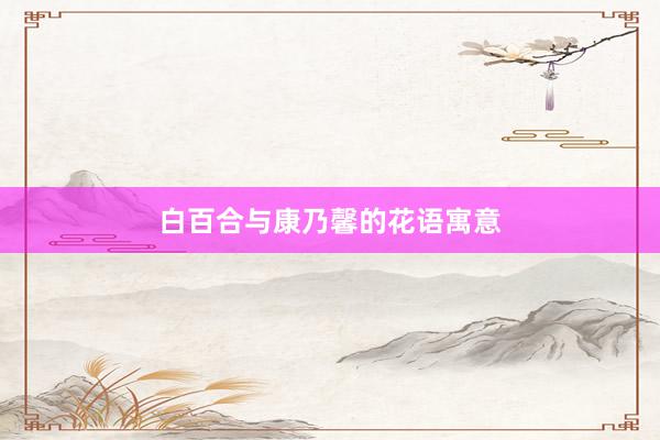 白百合与康乃馨的花语寓意