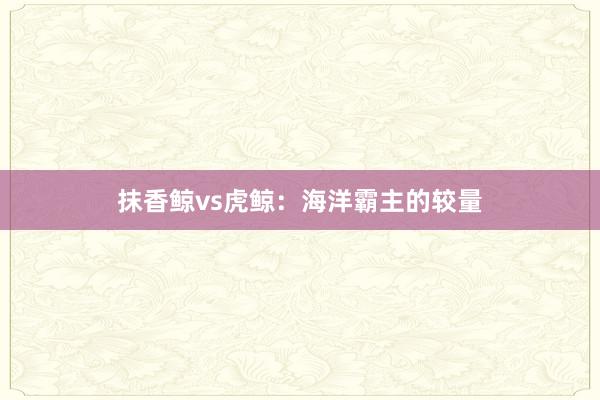 抹香鲸vs虎鲸：海洋霸主的较量